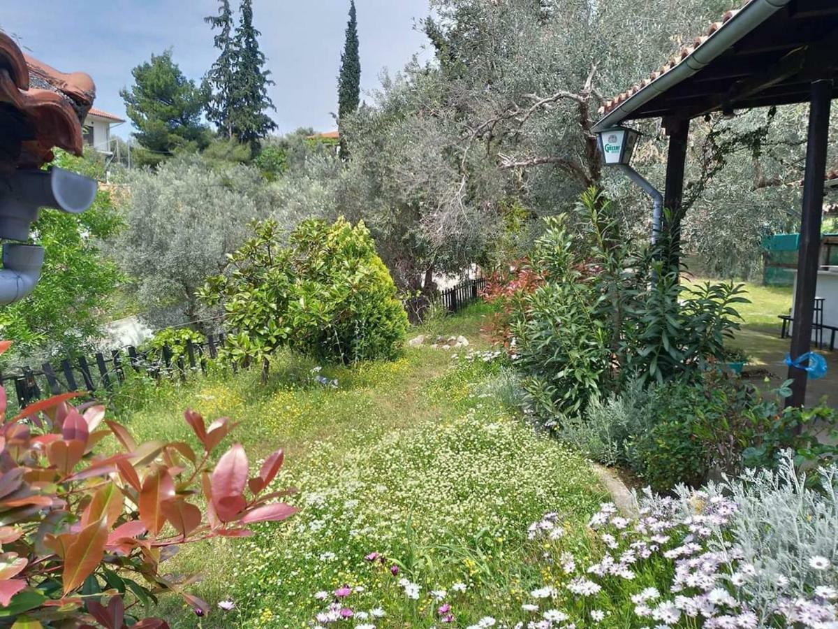 Villa Persefoni House à Áfissos Extérieur photo
